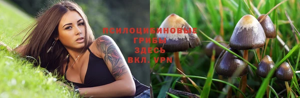 ПСИЛОЦИБИНОВЫЕ ГРИБЫ Балабаново