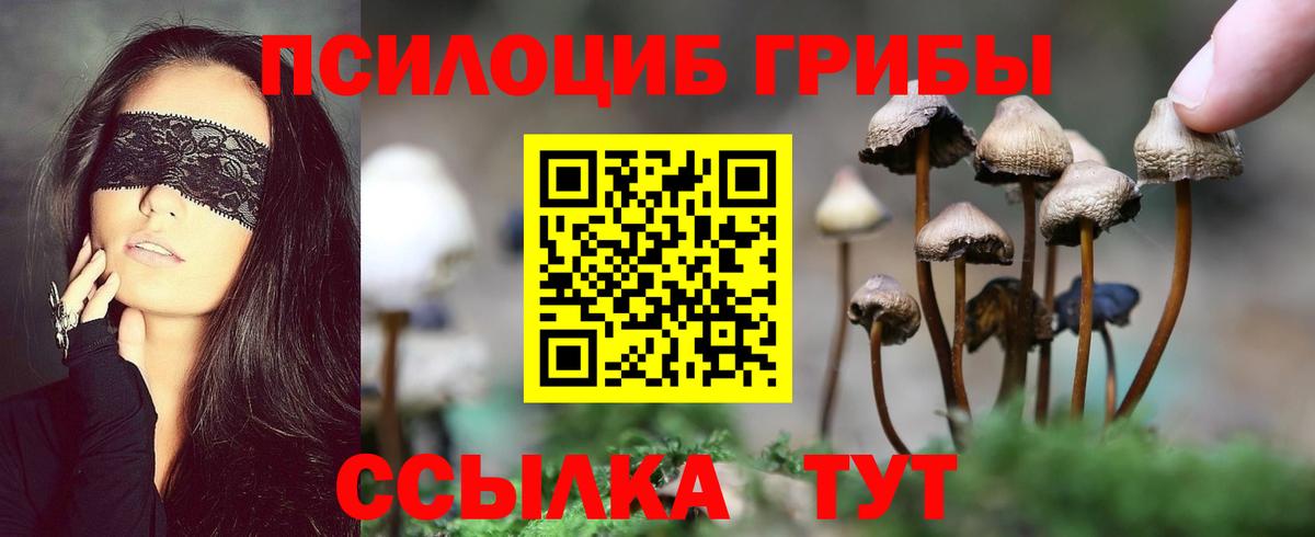 Борисоглебск  купить   Вход с VPN  Галлюциногенные грибы мухоморы 
